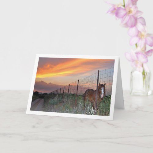 Spanish Horse at Sunset Card