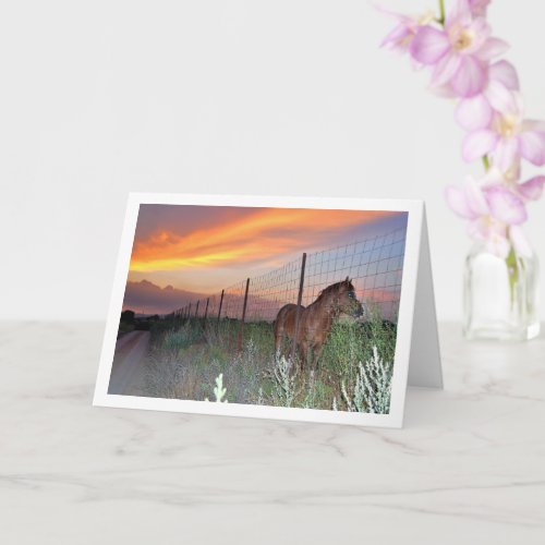 Spanish Horse at Sunset Card