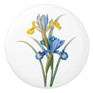 Spanish iris by Pierre-Joseph Redouté Ceramic Knob