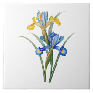 Spanish iris by Pierre-Joseph Redouté Ceramic Tile