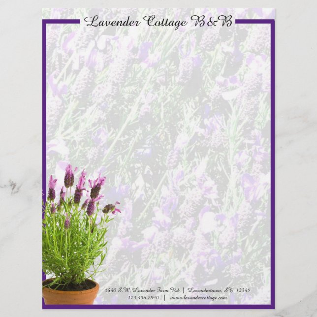 Spanish Lavender Letterhead (Front)
