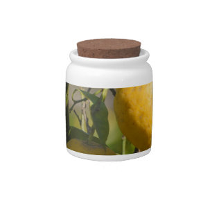 Spanish Lemon Graphics Candy Jar