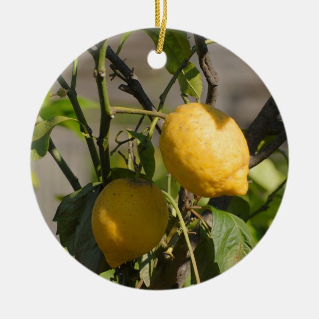 Spanish Lemon Graphics Ceramic Ornament (Front)