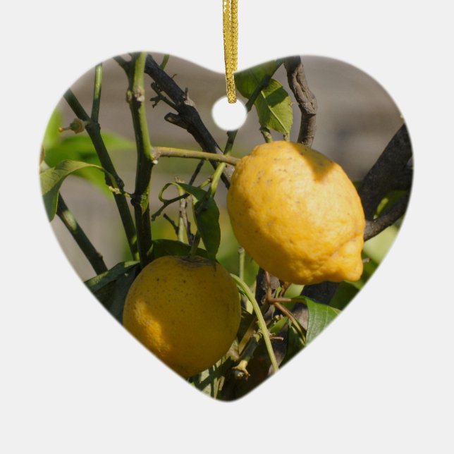 Spanish Lemon Graphics Ceramic Ornament (Front)