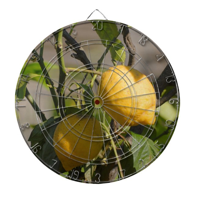 Spanish Lemon Graphics Dartboard (Front)