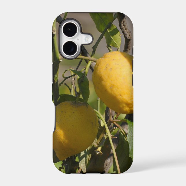 Spanish Lemon Graphics Iphone Case (Back)