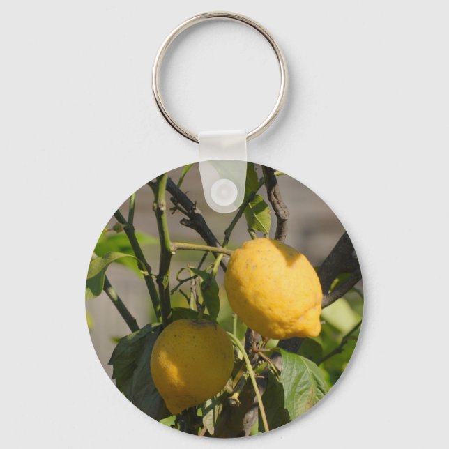 Spanish Lemon Graphics Keychain (Front)