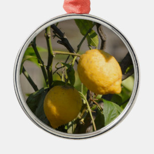 Spanish Lemon Graphics Metal Ornament