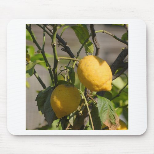 Spanish Lemon Graphics Mouse Pad