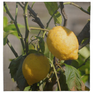 Spanish Lemon Graphics Napkin