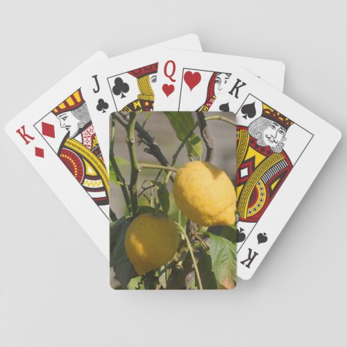 Spanish Lemon Graphics Poker Cards