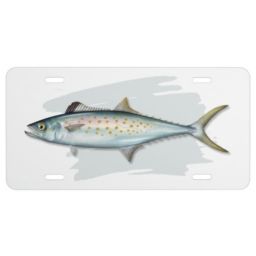 Spanish Mackeral License Plate