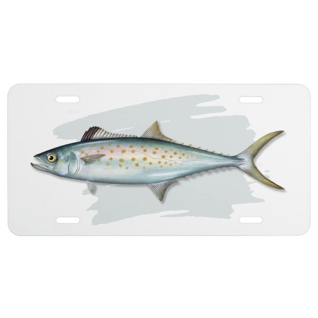 Spanish Mackeral License Plate (Front)
