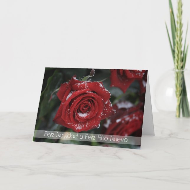 spanish Merry Christmas-Happy New Year snowy red r Holiday Card (Front)