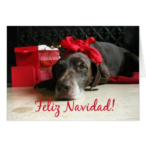 spanish merry christmas  pointer and gifts at fire