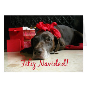 spanish merry christmas pointer and gifts at fire cards