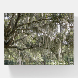 Spanish Moss #2 Paperweight