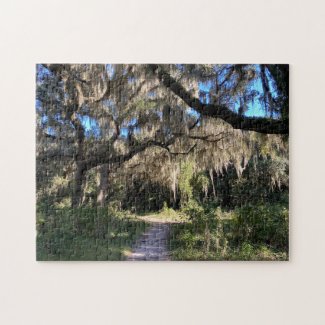 Spanish Moss