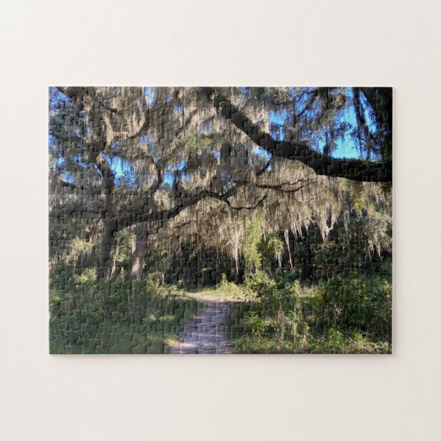 Spanish Moss Jigsaw Puzzle (Horizontal)