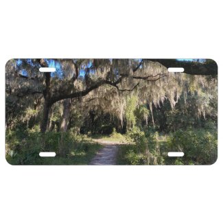 Spanish Moss