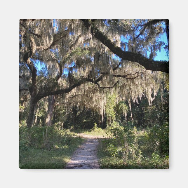 Spanish Moss Magnet (Front)