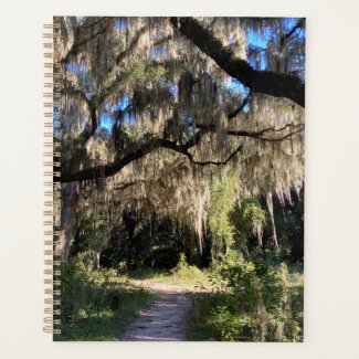 Spanish Moss