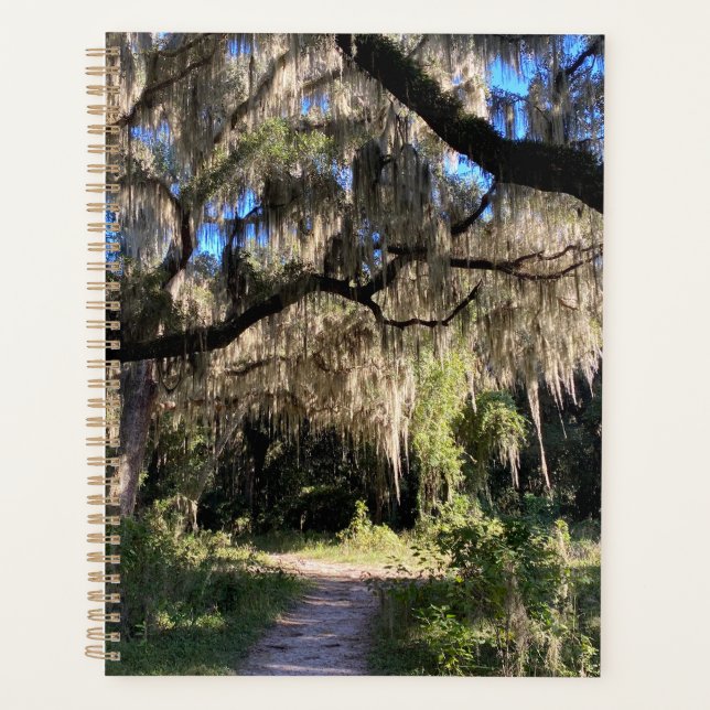 Spanish Moss Planner (Front)