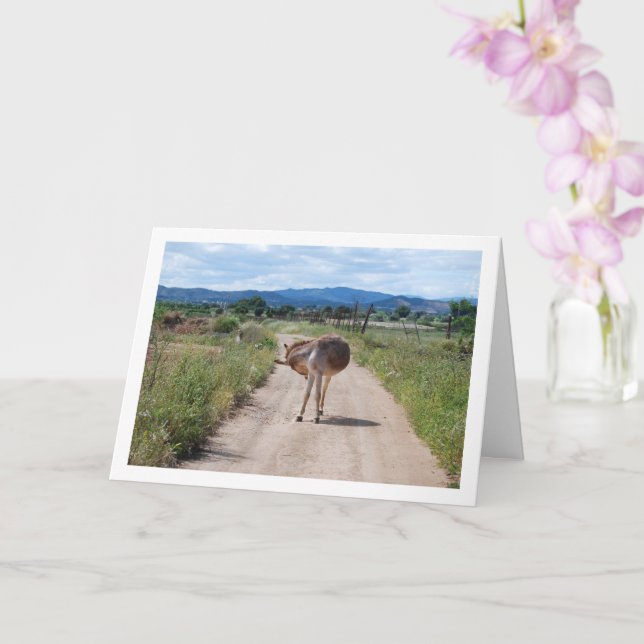 Spanish Mule on Country Road Card (Orchid)