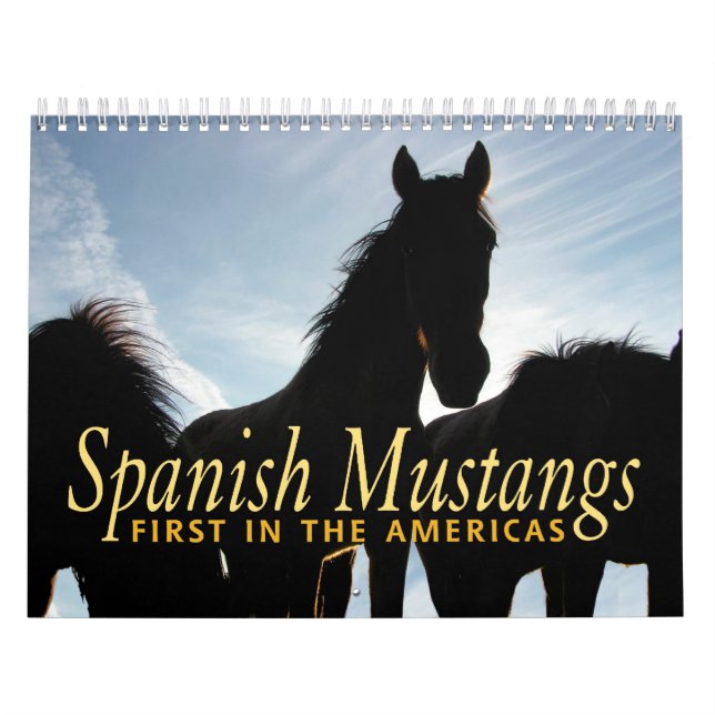 Spanish Mustang Calendar (Cover)