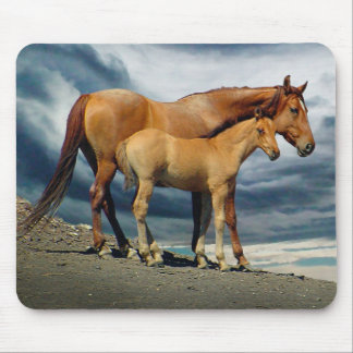 Spanish Mustang Mare Mouse Pad