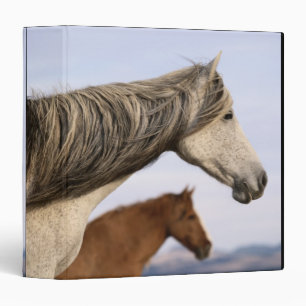 Spanish Mustangs Binder
