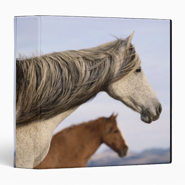 Spanish Mustangs Binder (Front/Spine)