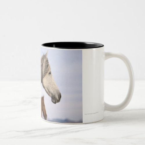 Spanish Mustangs Two_Tone Coffee Mug