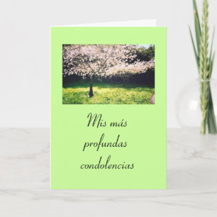 Spanish:Pesame /Sympathy Card