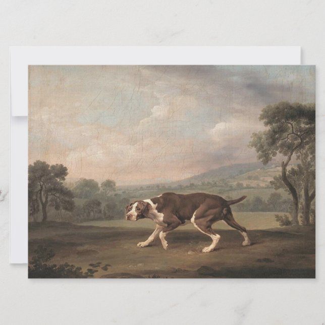 Spanish Pointer Dog (by George Stubbs) Card (Front)