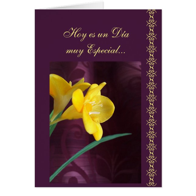 Spanish: Special day Cards (Front)