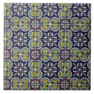 Spanish Tile in Mexico
