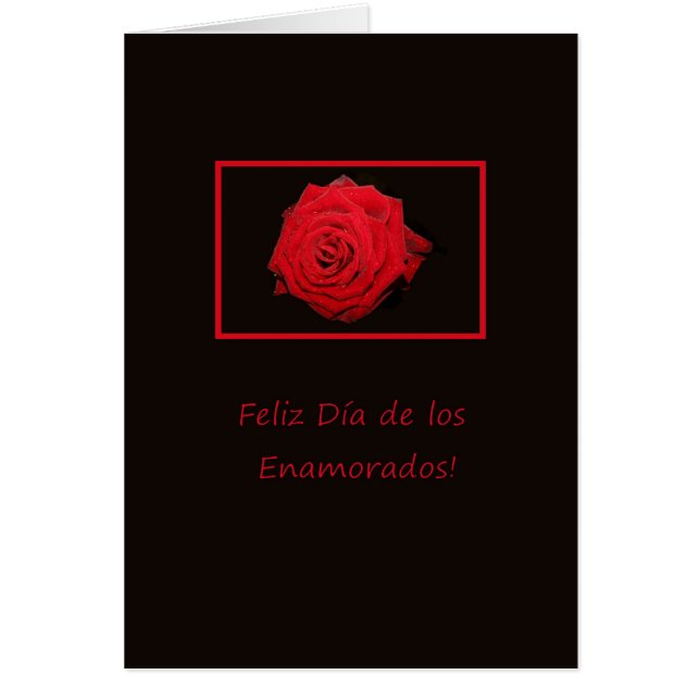 Spanish Valentine's Day Roses Cards (Front)