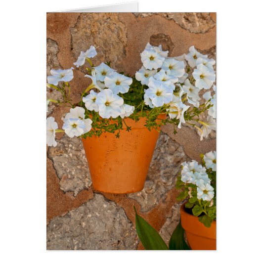 Spanish Wall (Front)