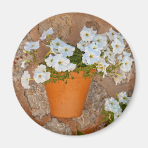 Spanish Wall Magnet