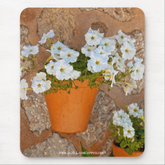 Spanish Wall Mouse Pad