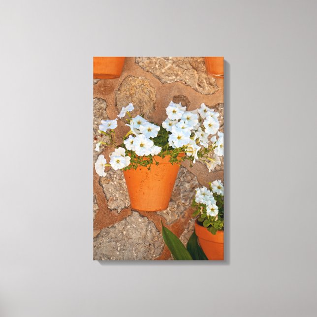Spanish Wall Wrapped Canvas Print (Front)