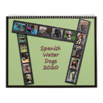 Spanish Water Dog Calendar 2020 Spanish Water Dog Calendar 2020