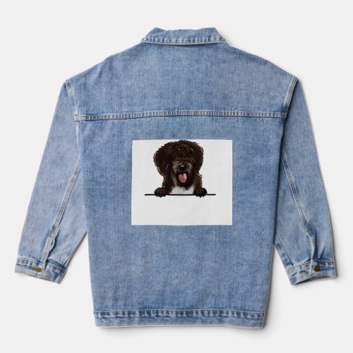 Spanish water dog  denim jacket