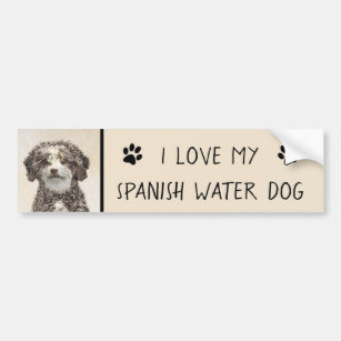 Spanish Water Dog Painting - Cute Original Dog Art Bumper Sticker