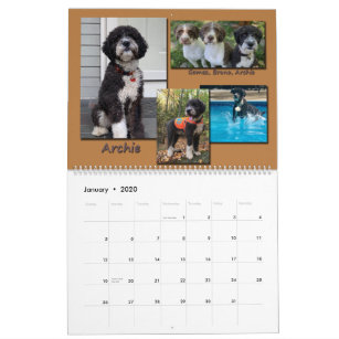 Spanish Water Dogs 2020 Calendar