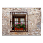 Spanish Window (Front Horizontal)