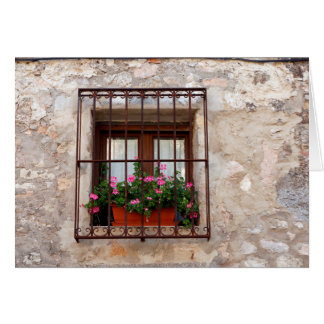 Spanish Window Cards