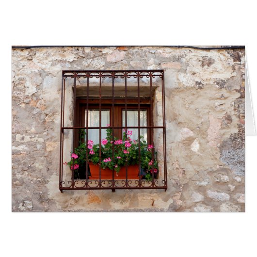 Spanish Window Cards (Front Horizontal)