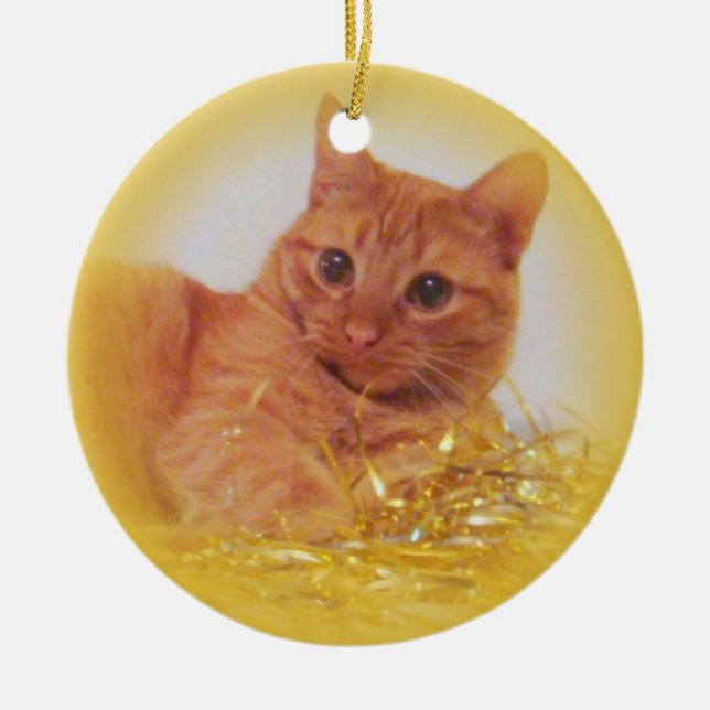 Sparkle Cat Ceramic Ornament (Front)